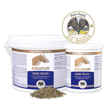 Equipur zink forte 1000 g