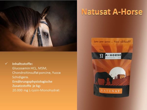 Natusat A-Horse 2100 g