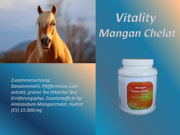 Mangan Chelat vitality 1000 g